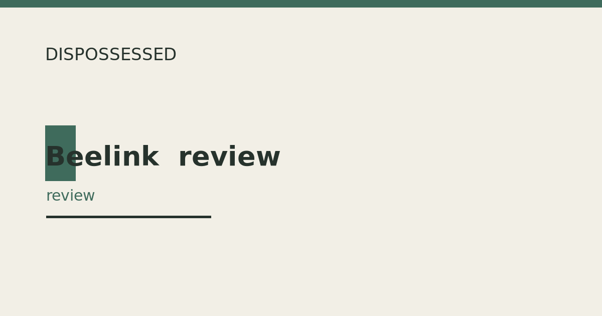 Beelink  review