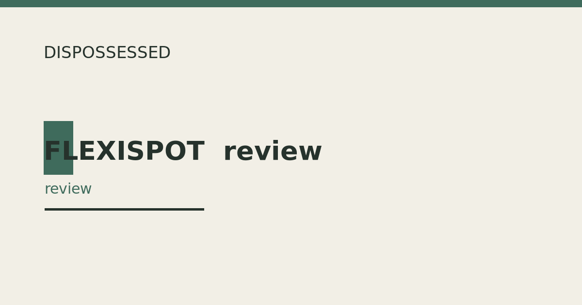FLEXISPOT  review